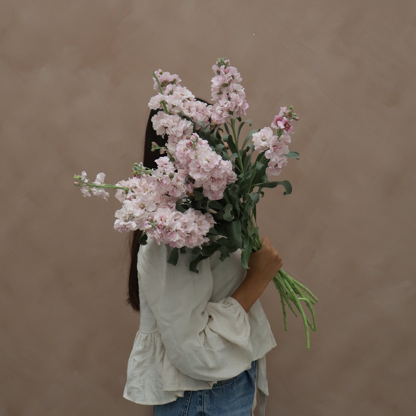 Matthiola Cherry Blossom