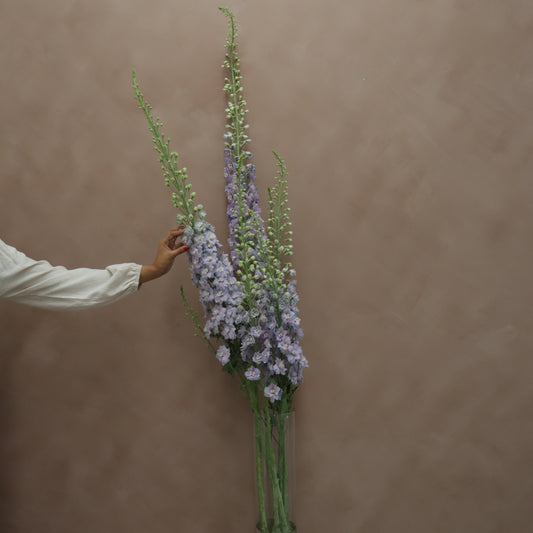 Delphinium Lilac Pink