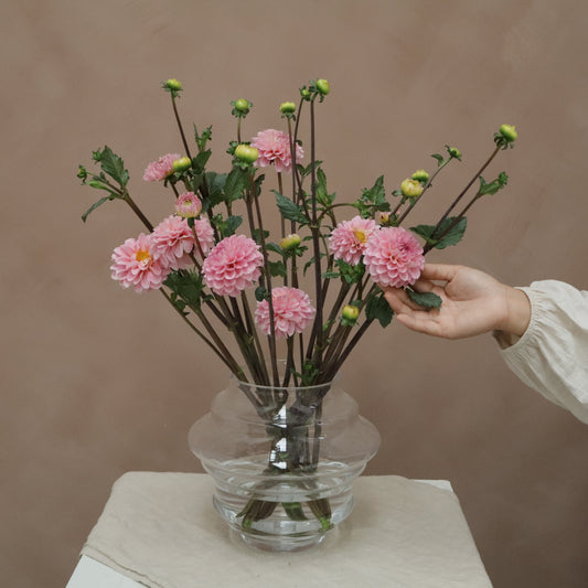 Dalia Sandra