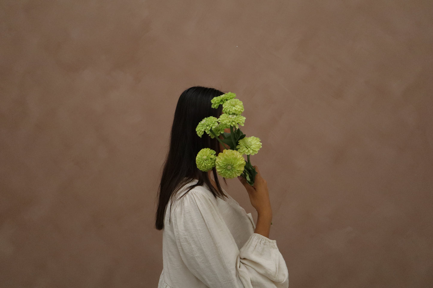 Zinnia Lime