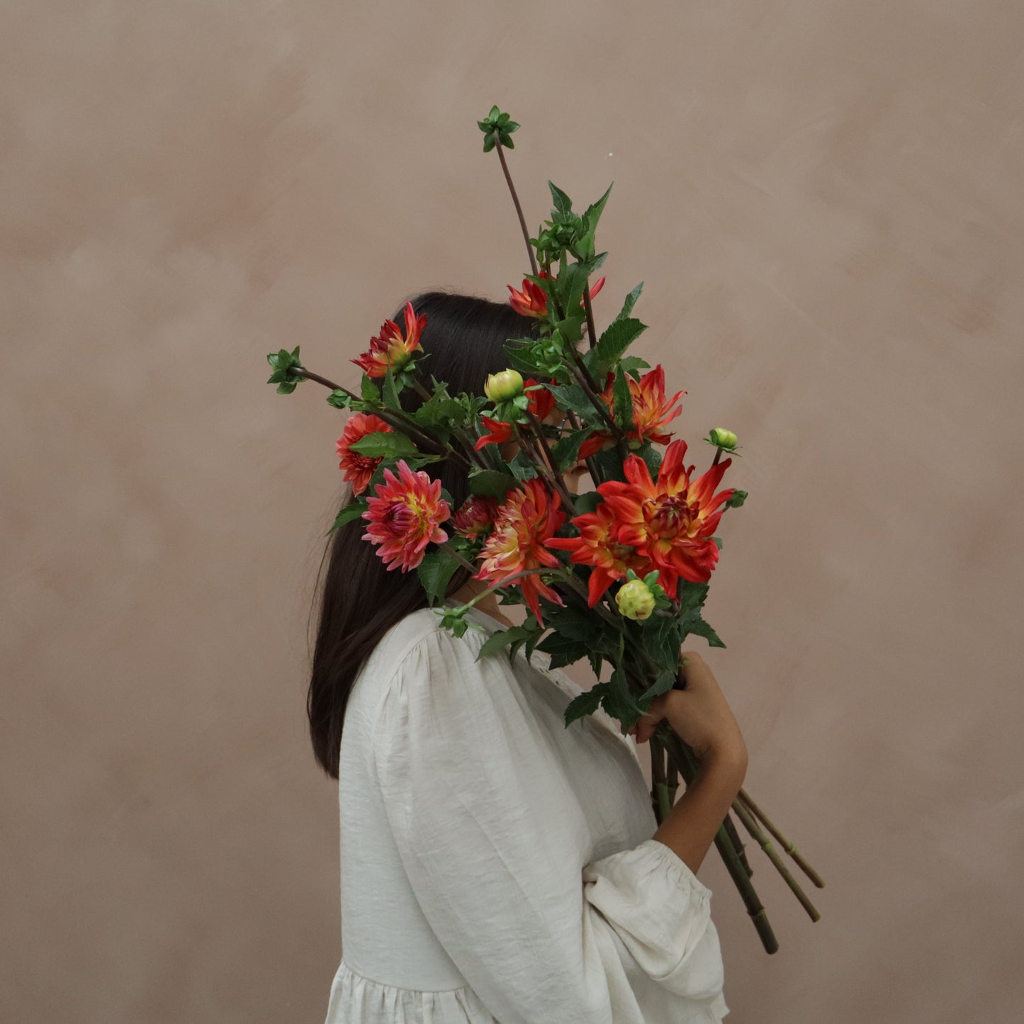 Dalia Rainbow Silence