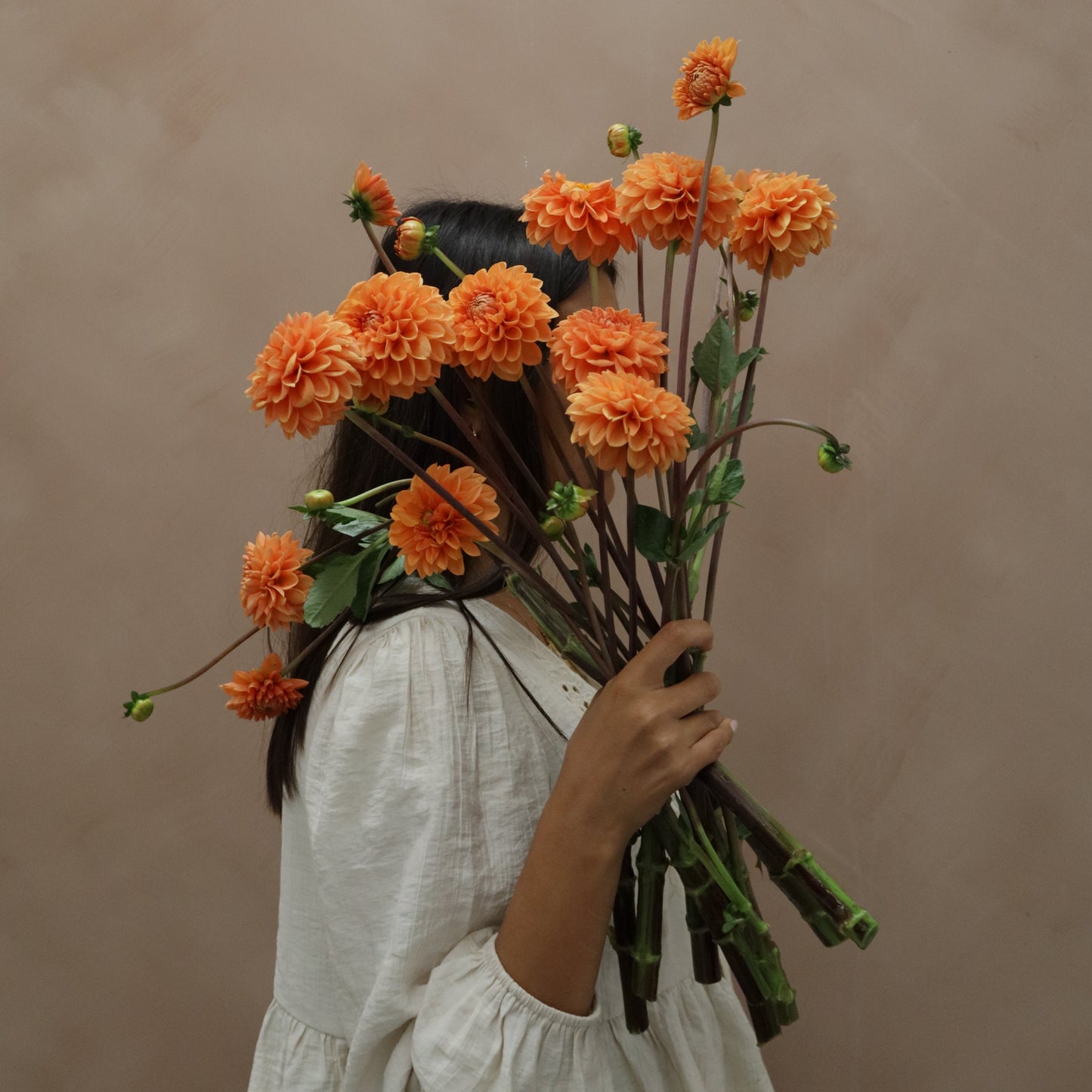 Dalia Silvia