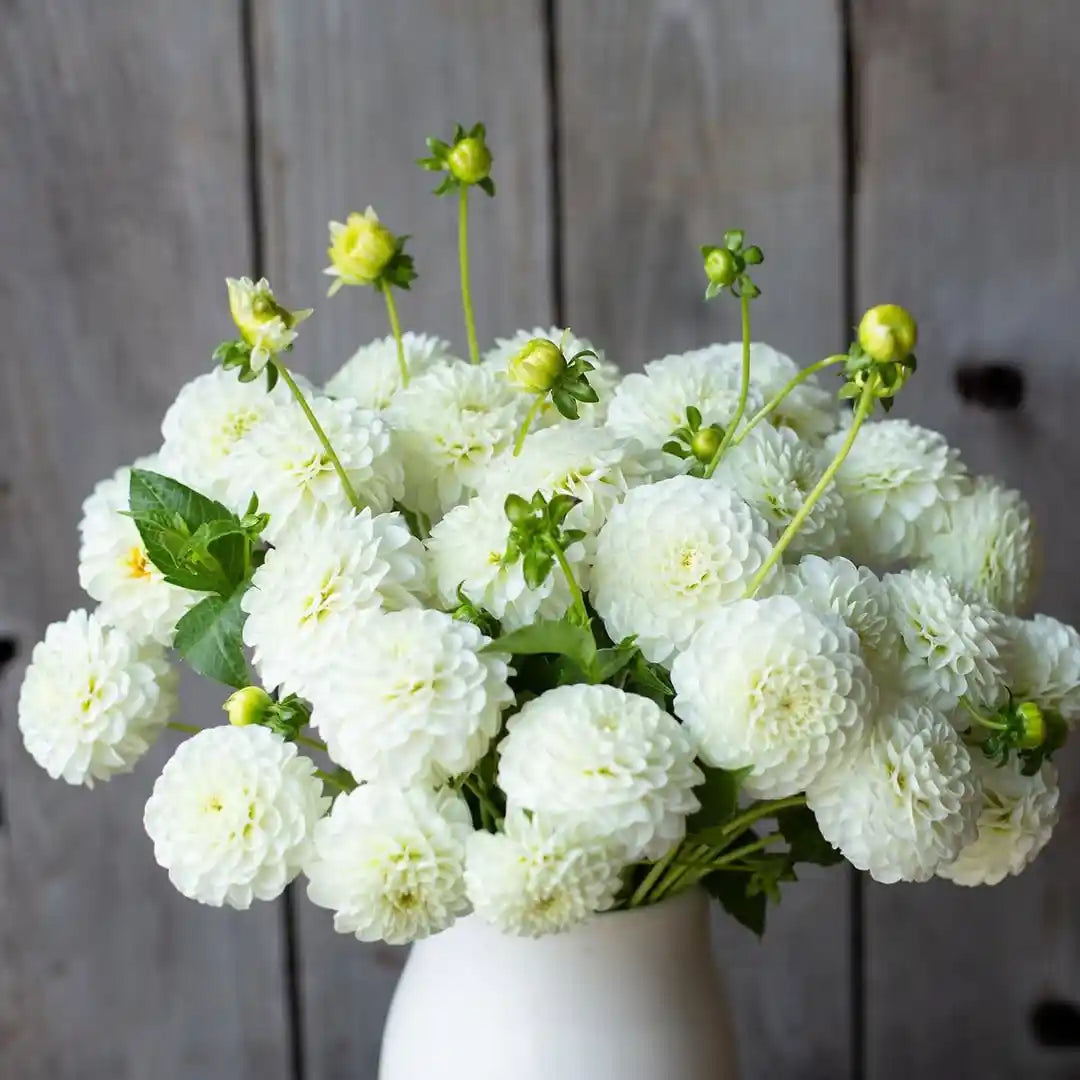 Bunch Floral Mediano