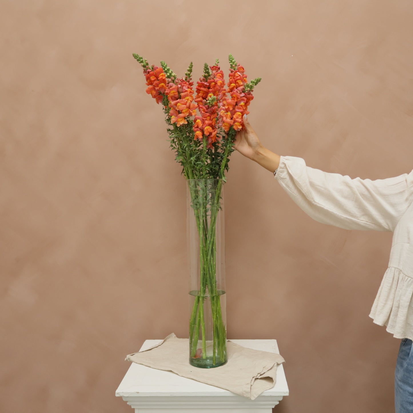 Snapdragon Orange