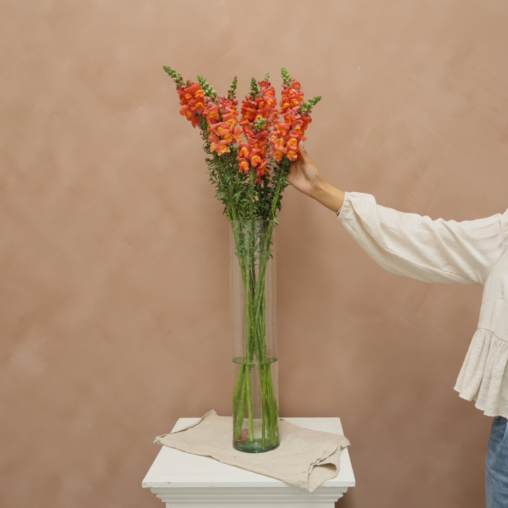 Snapdragon Orange