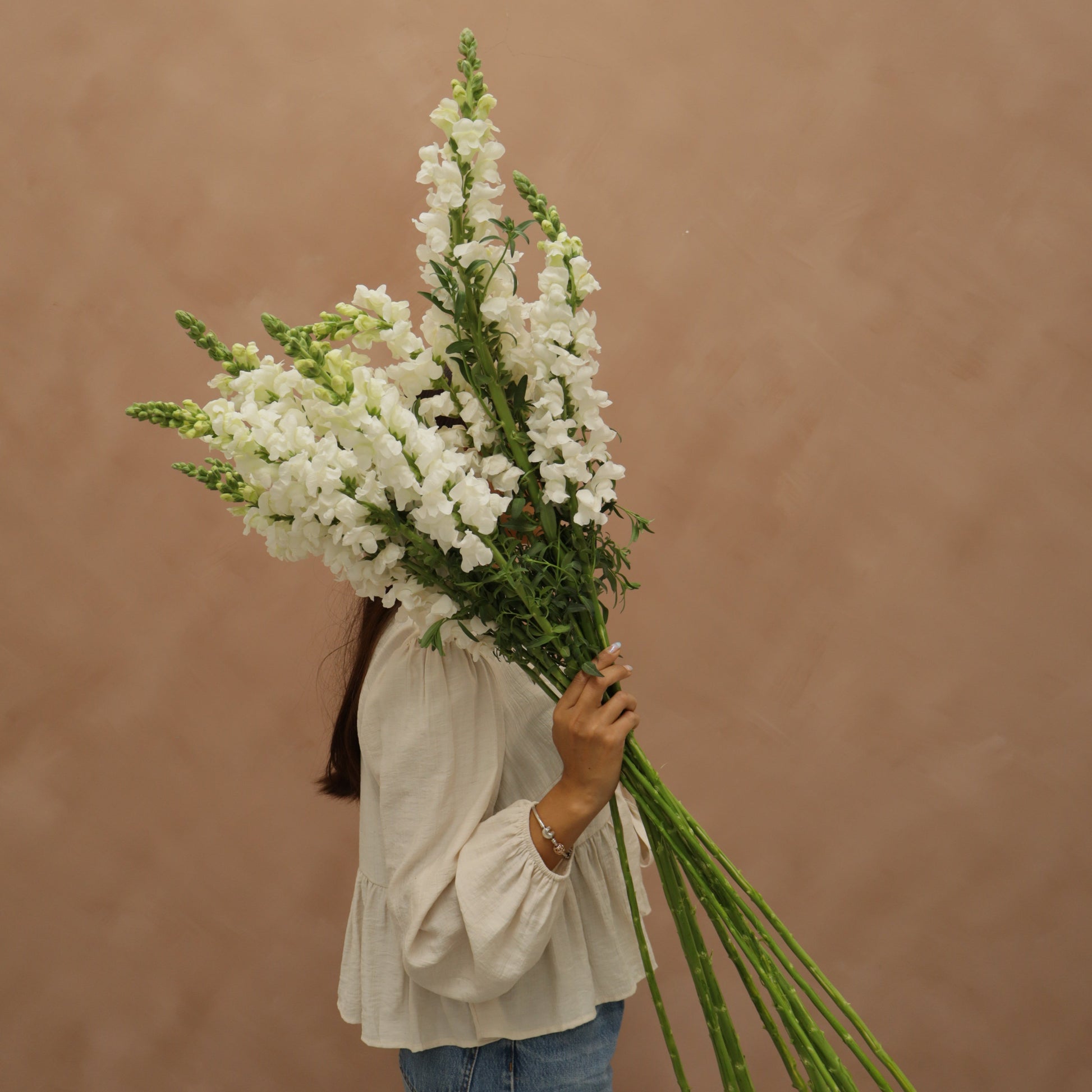 Snapdragon Early White