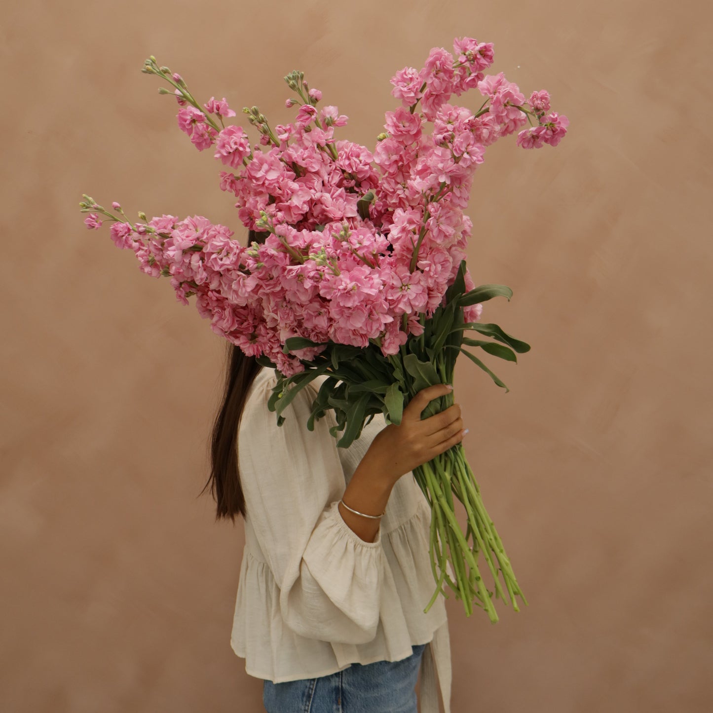 Matthiola Katz Pink