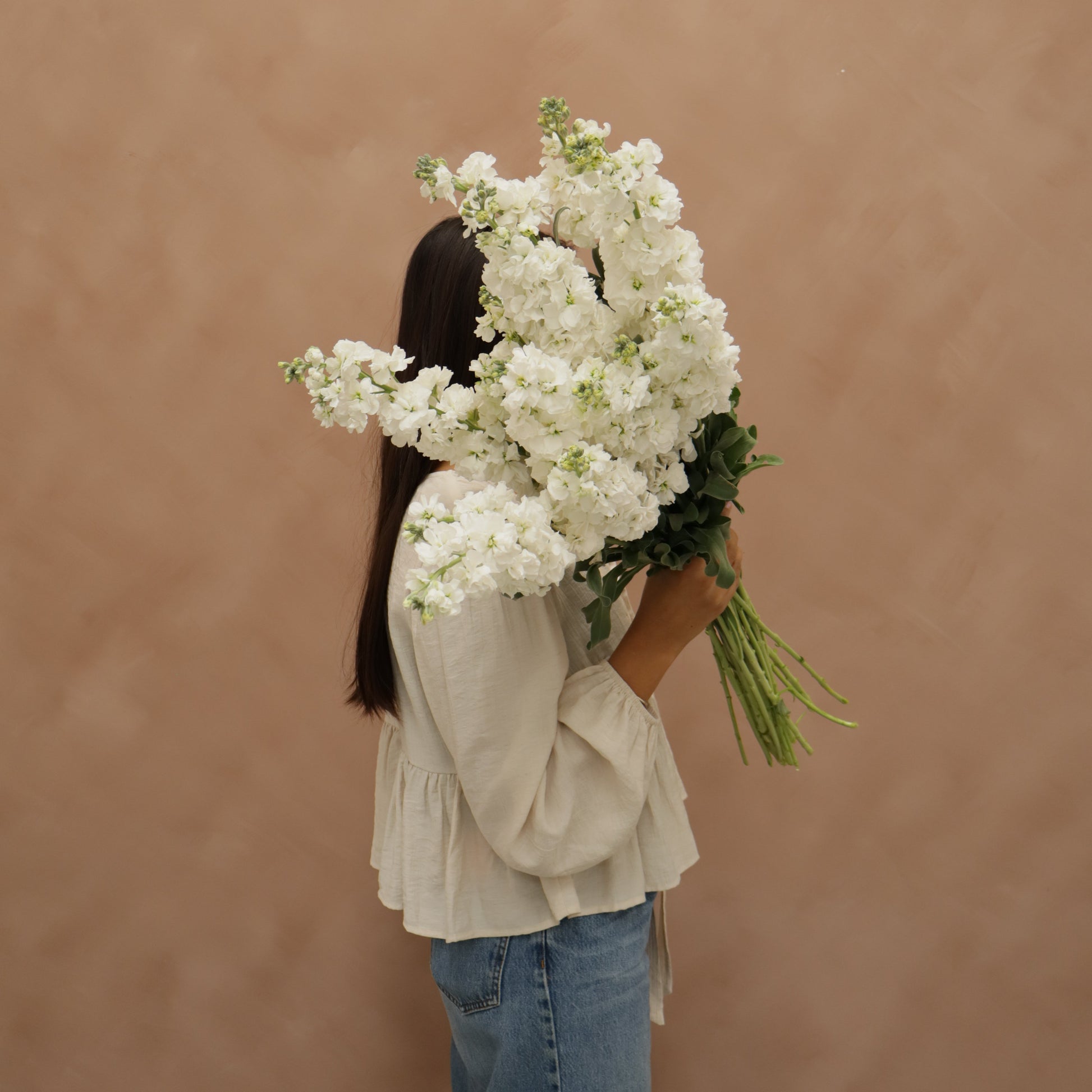 Matthiola White