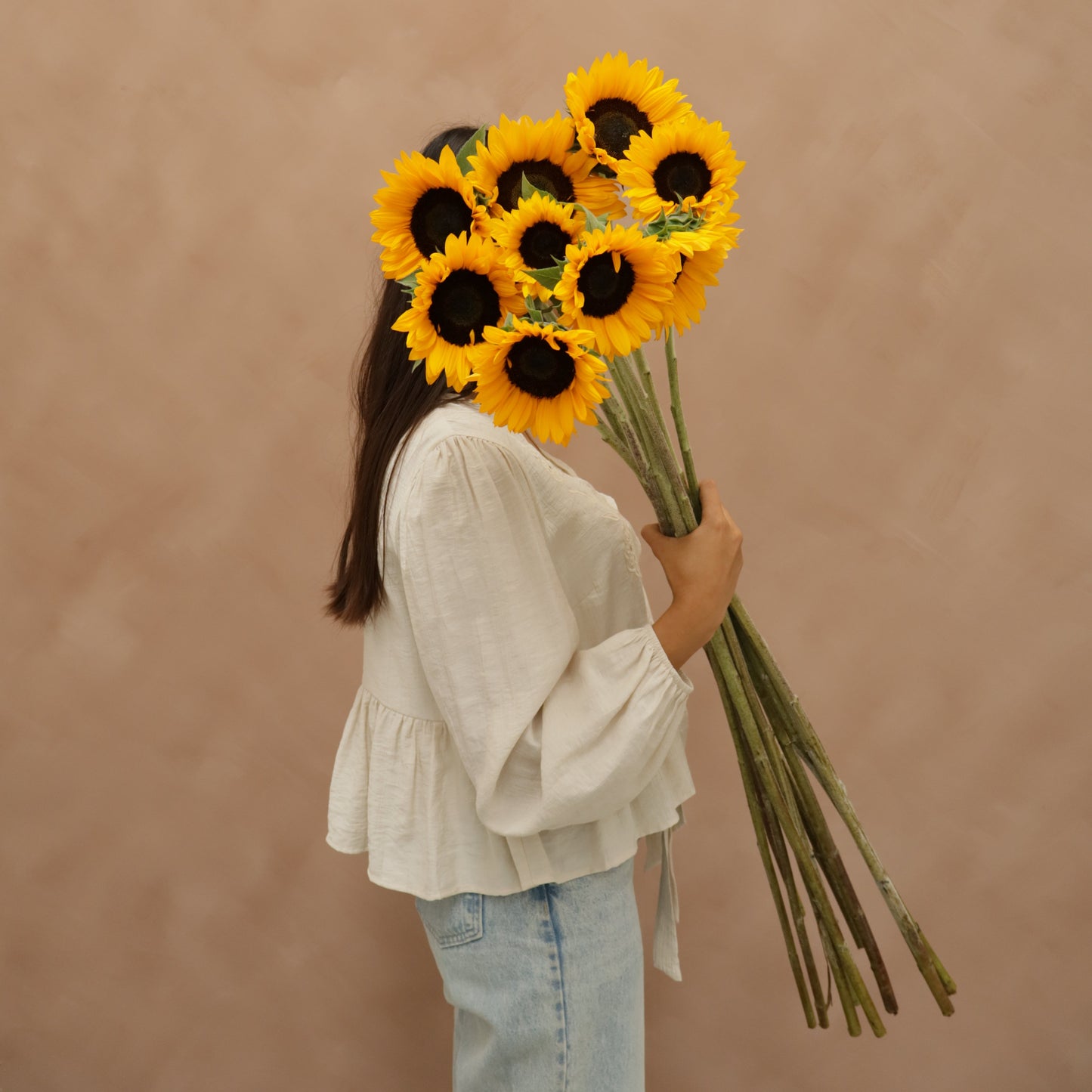 Girasol