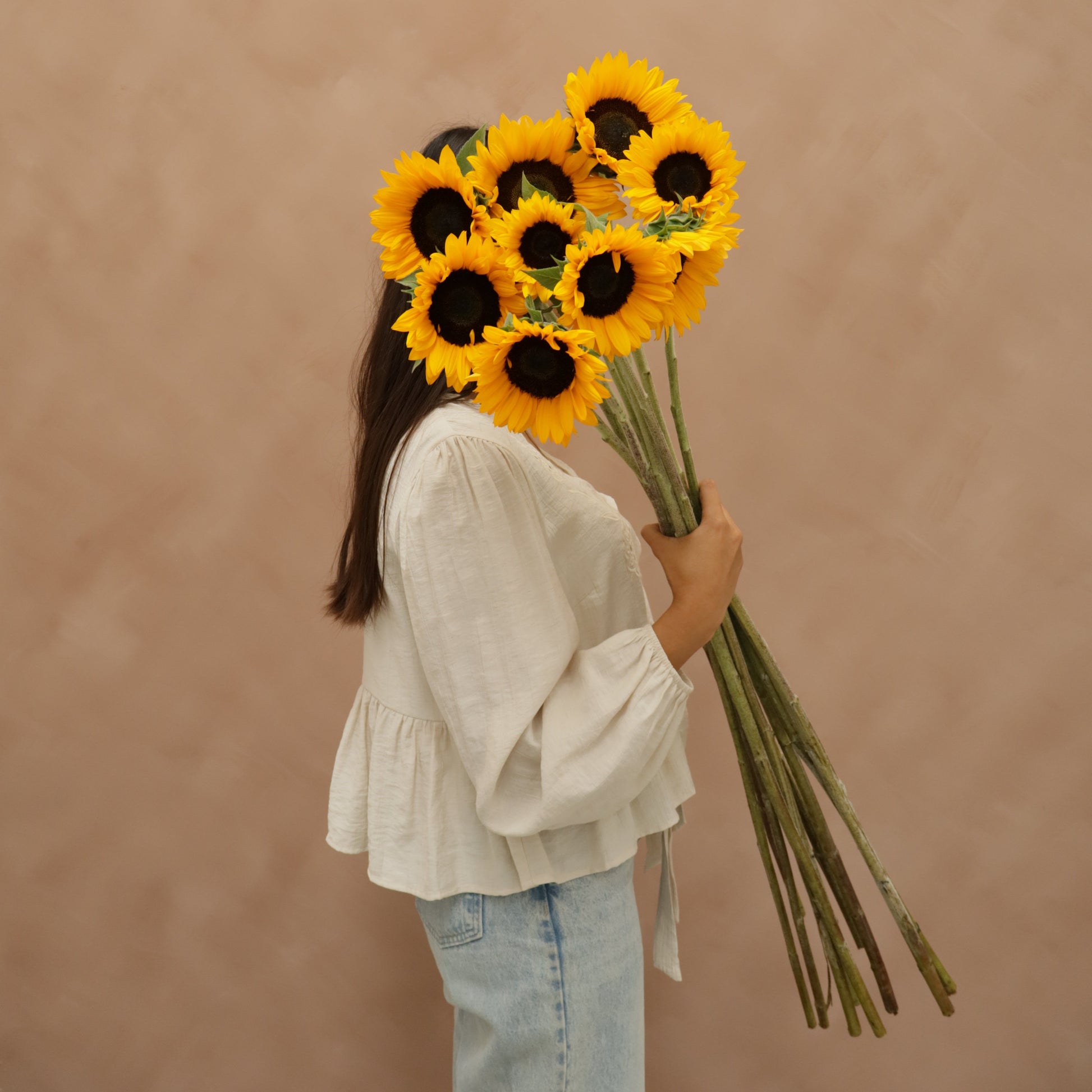 Girasol