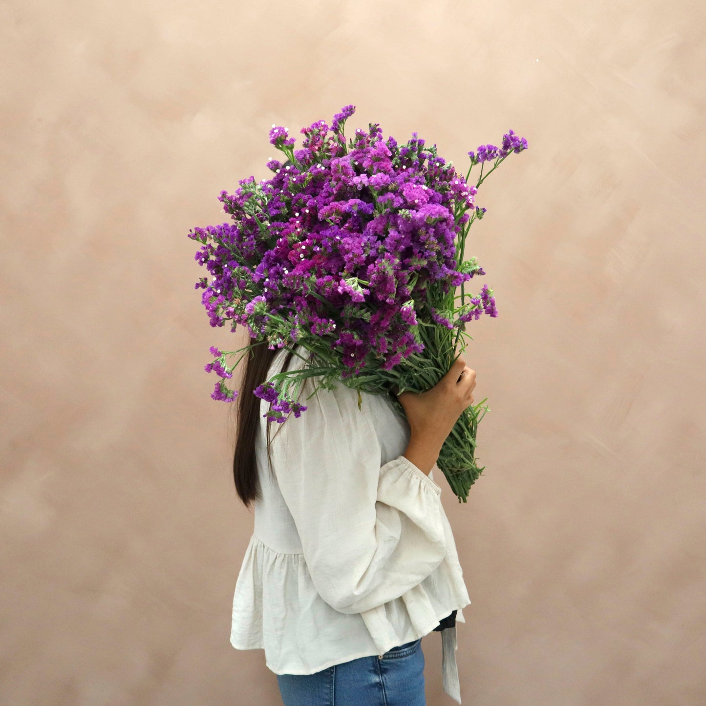 Statice Morado