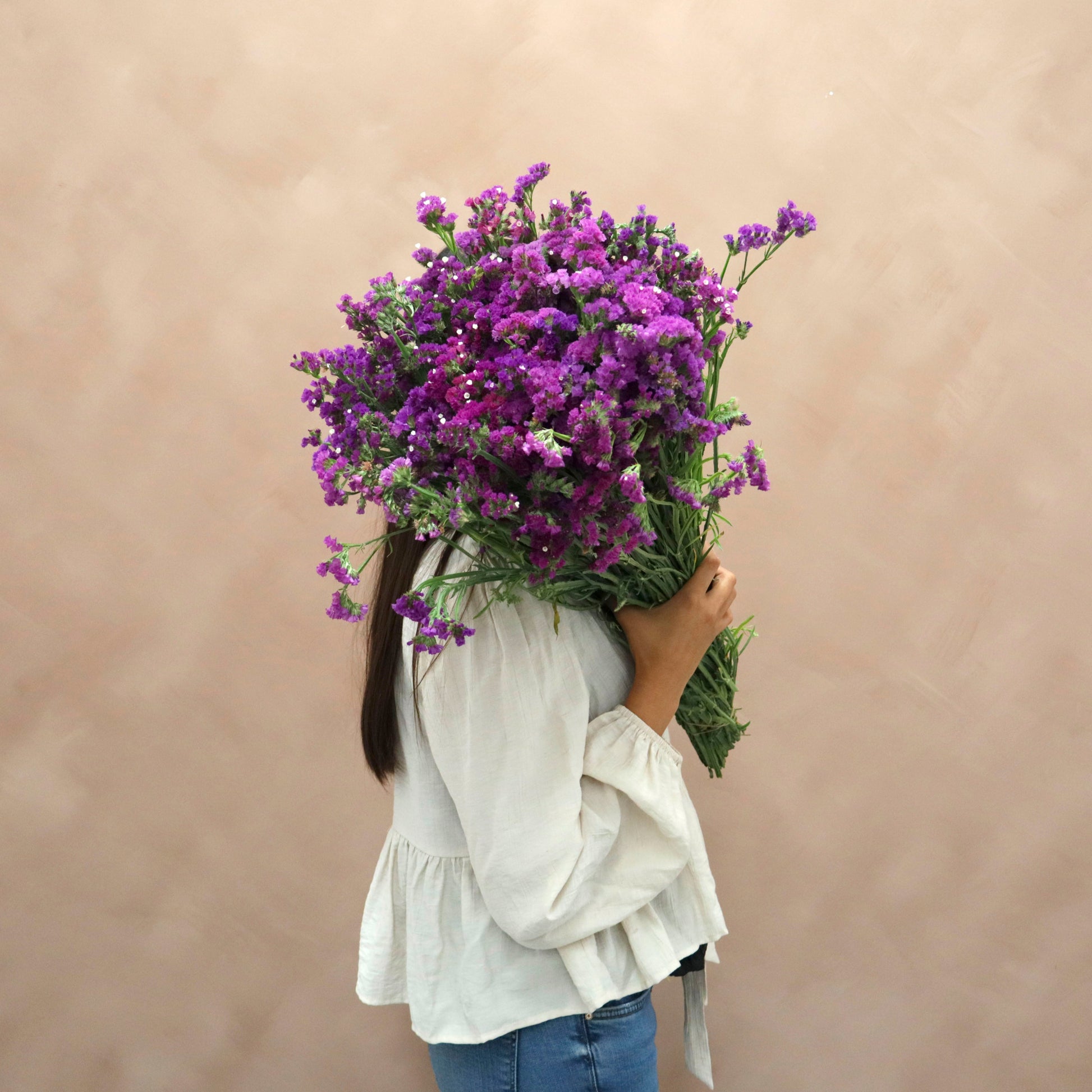 Statice Morado