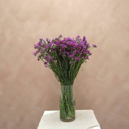 Statice Morado