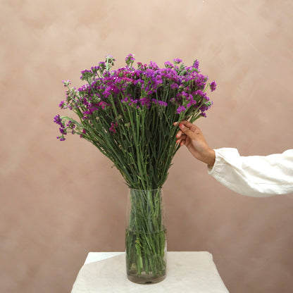 Statice Morado