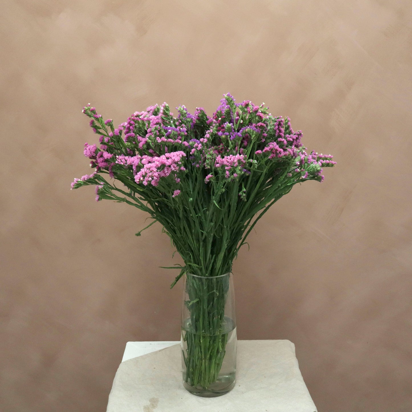 Statice Lavanda