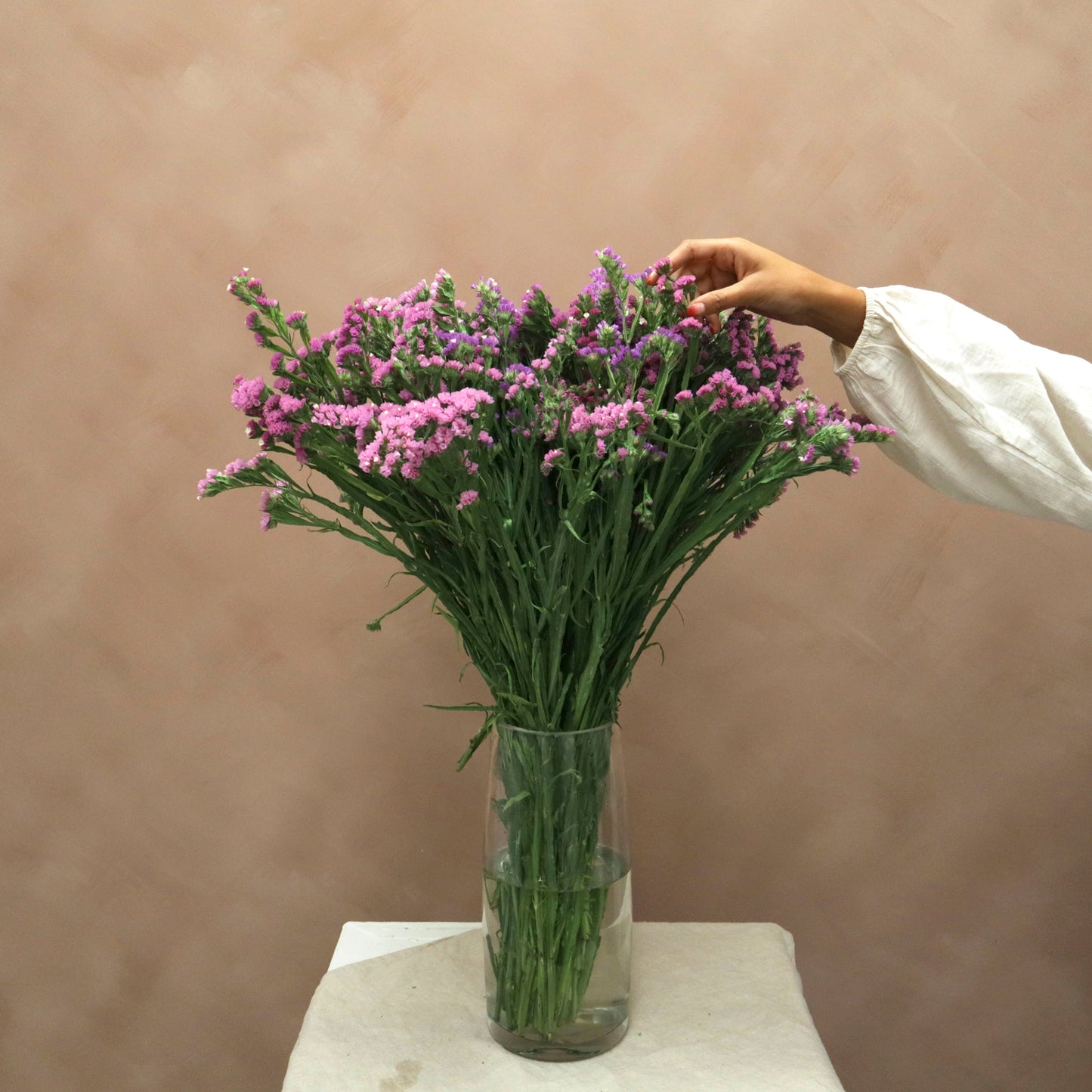Statice Lavanda