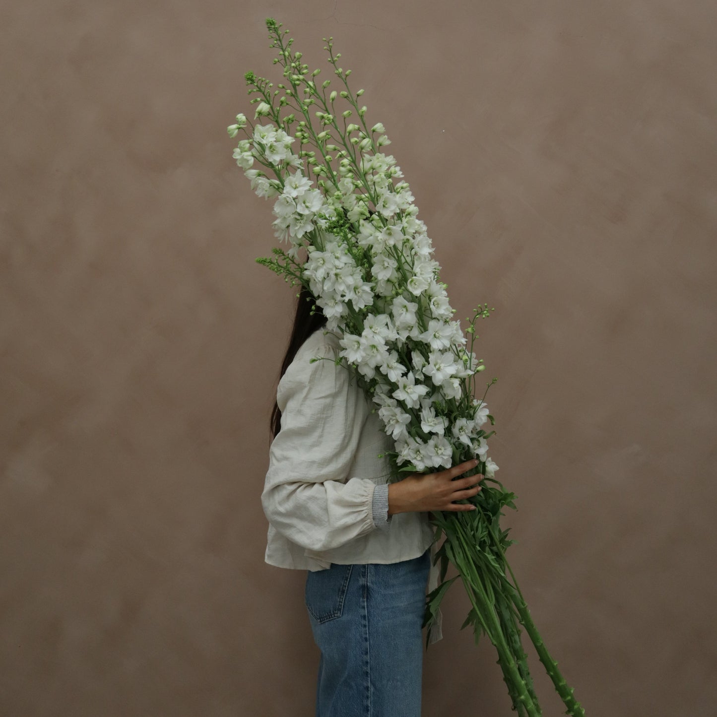 Delphinium Guardian White