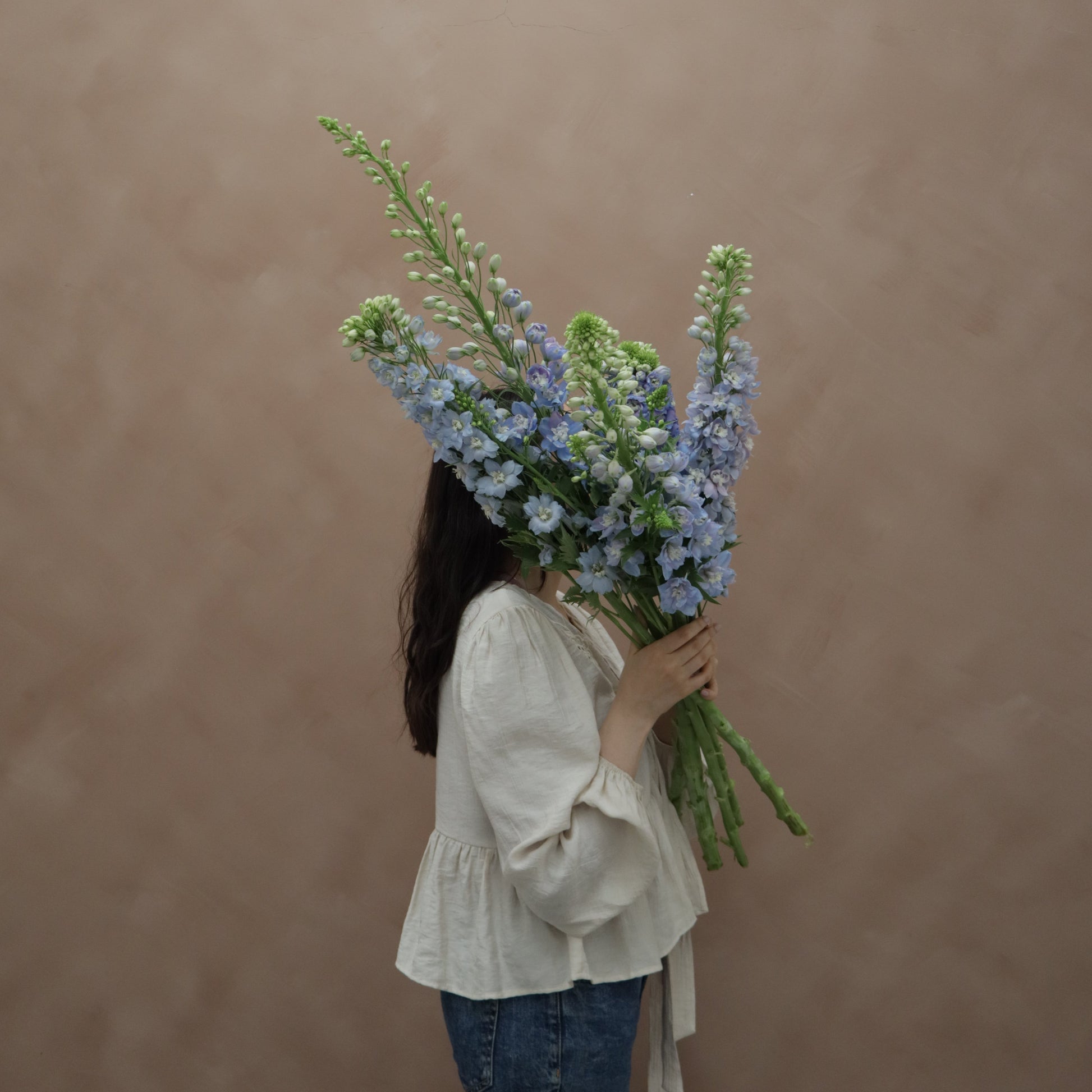 Delphinium Sky Blue