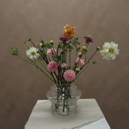Dalia Mix