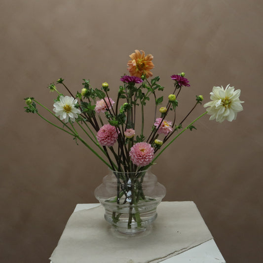 Dalia Mix