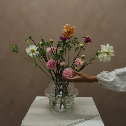 Dalia Mix
