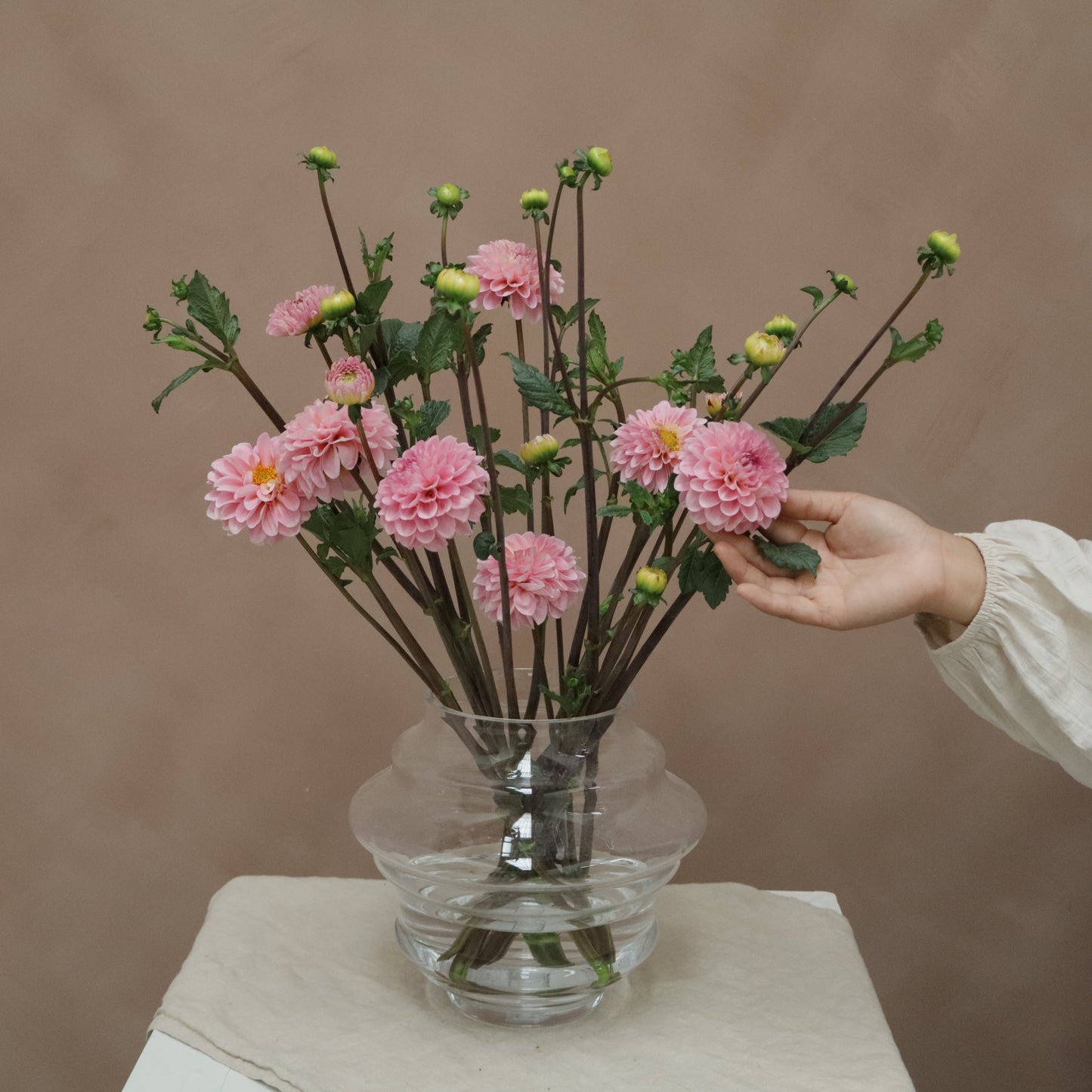 Dalia Stolze Von Berlin