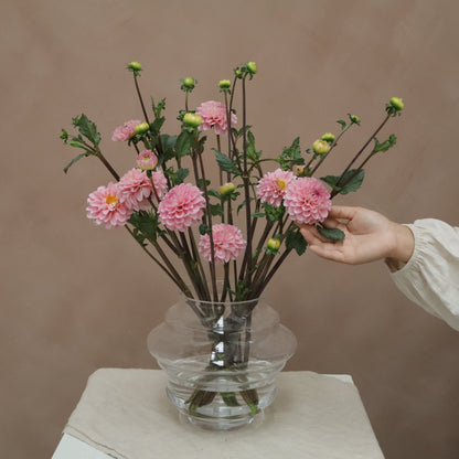 Dalia Stolze Von Berlin