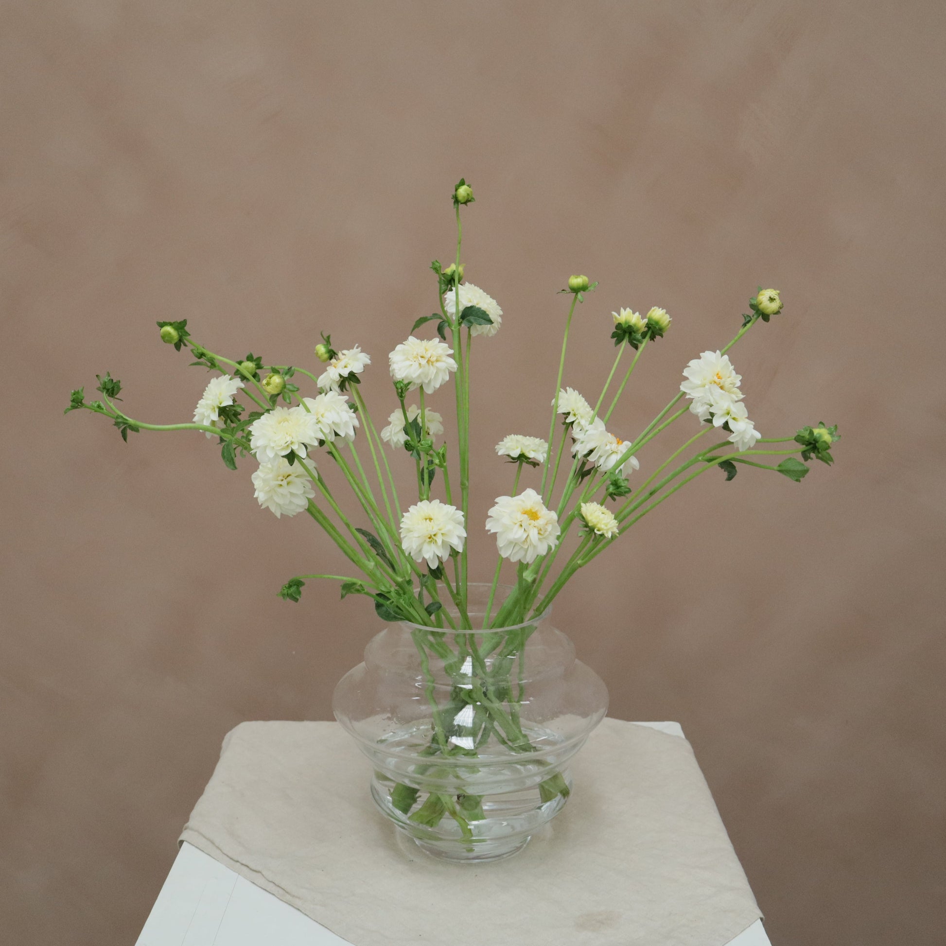 Dalia Snowflake