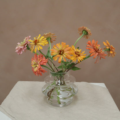 Zinnia Agave