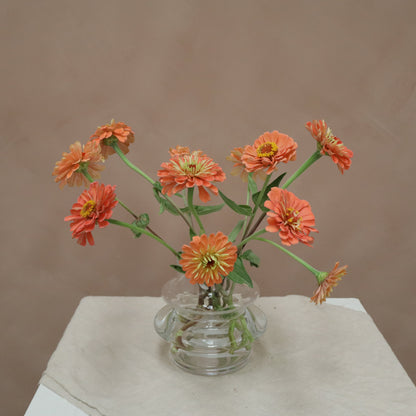 Zinnia Salmone Rose
