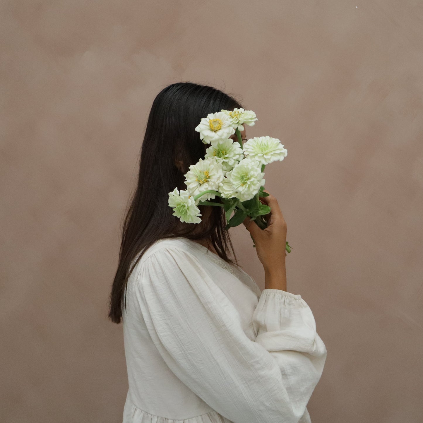 Zinnia White