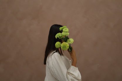 Zinnia Lime