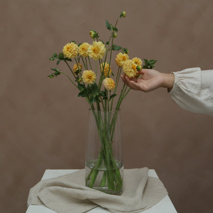 Dalia Golden Scepter