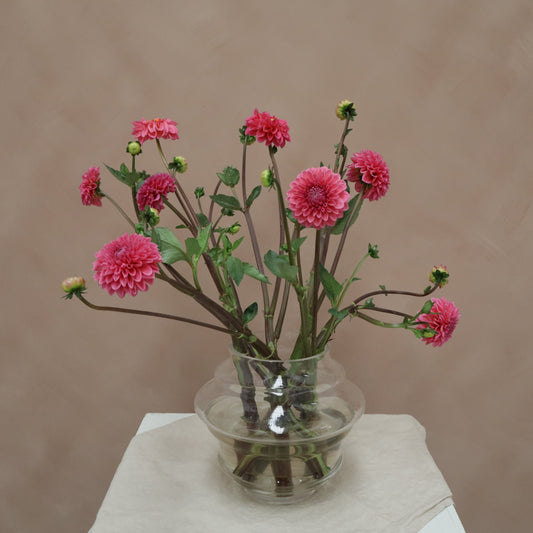 Dalia Sandra