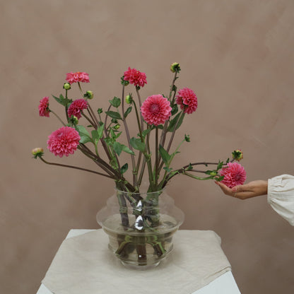Dalia Sandra