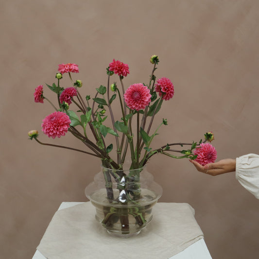 Dalia Sandra