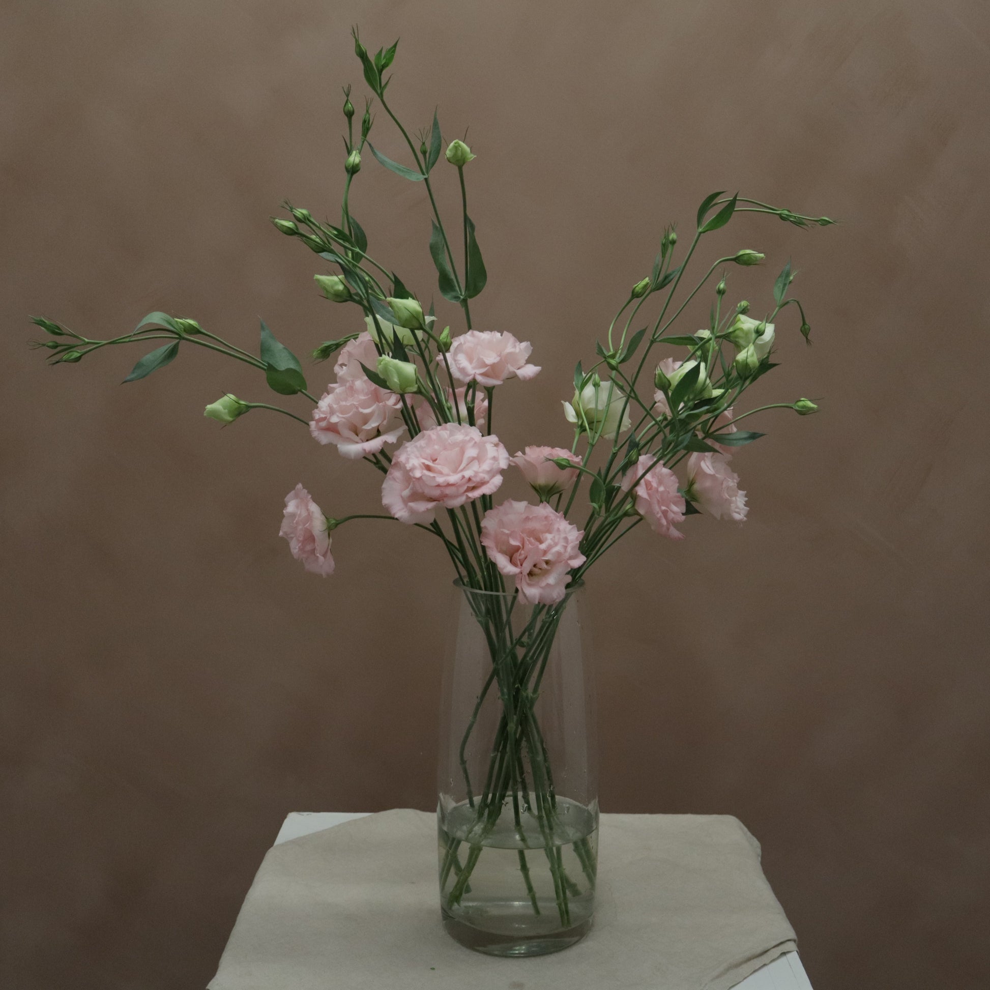 Lisianthus Corelli Pink
