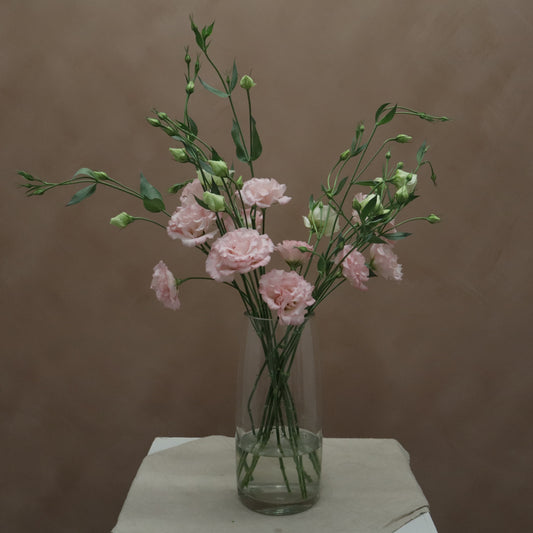 Lisianthus Corelli Pink