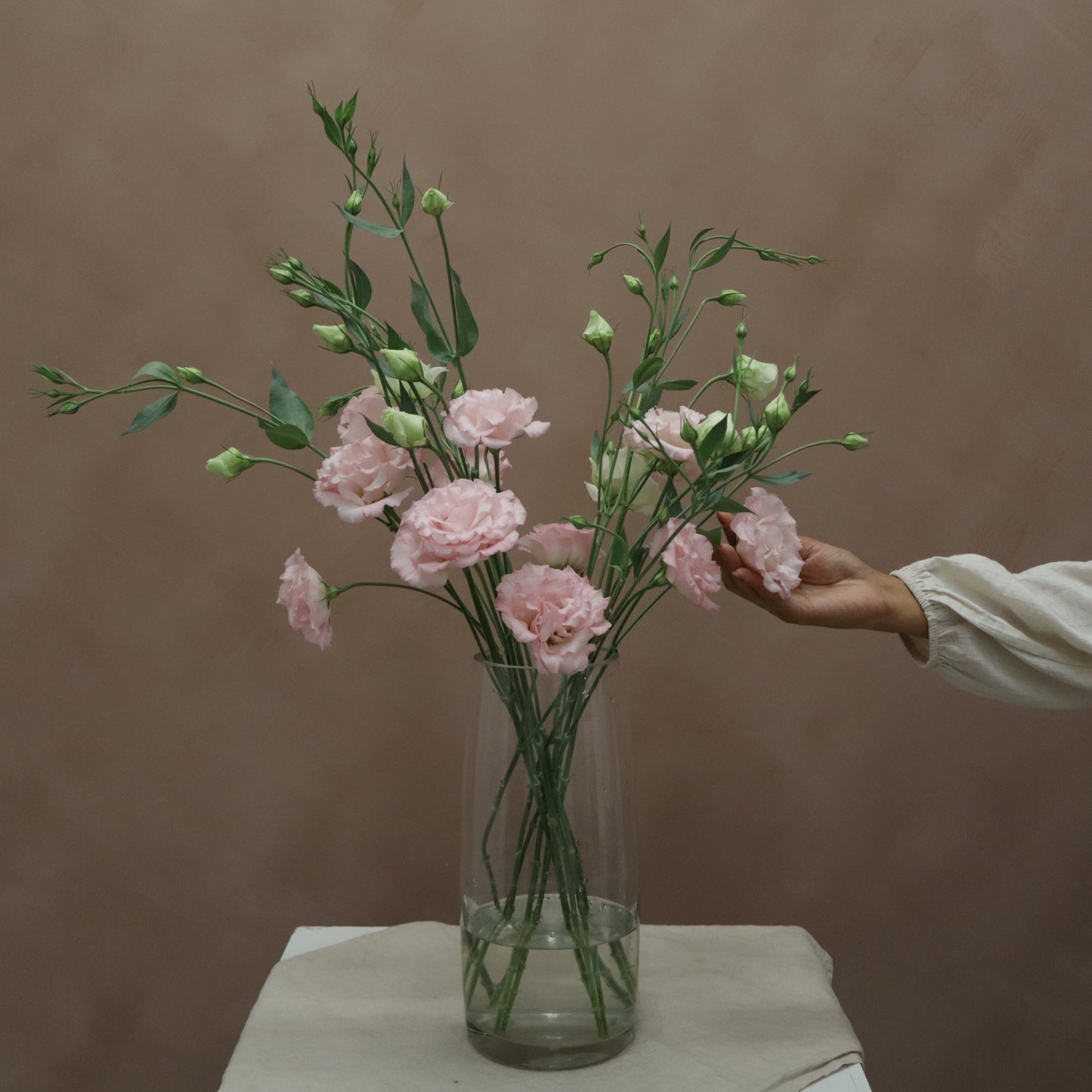 Lisianthus Corelli Pink