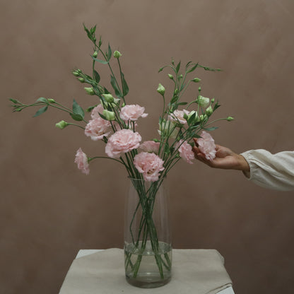 Lisianthus Corelli Pink