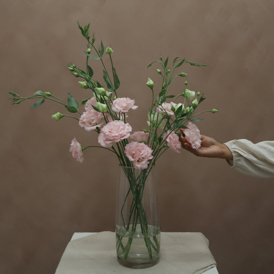 Lisianthus Corelli Pink