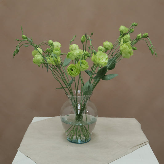 Lisianthus Rosaline Green