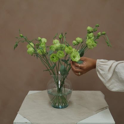 Lisianthus Rosaline Green