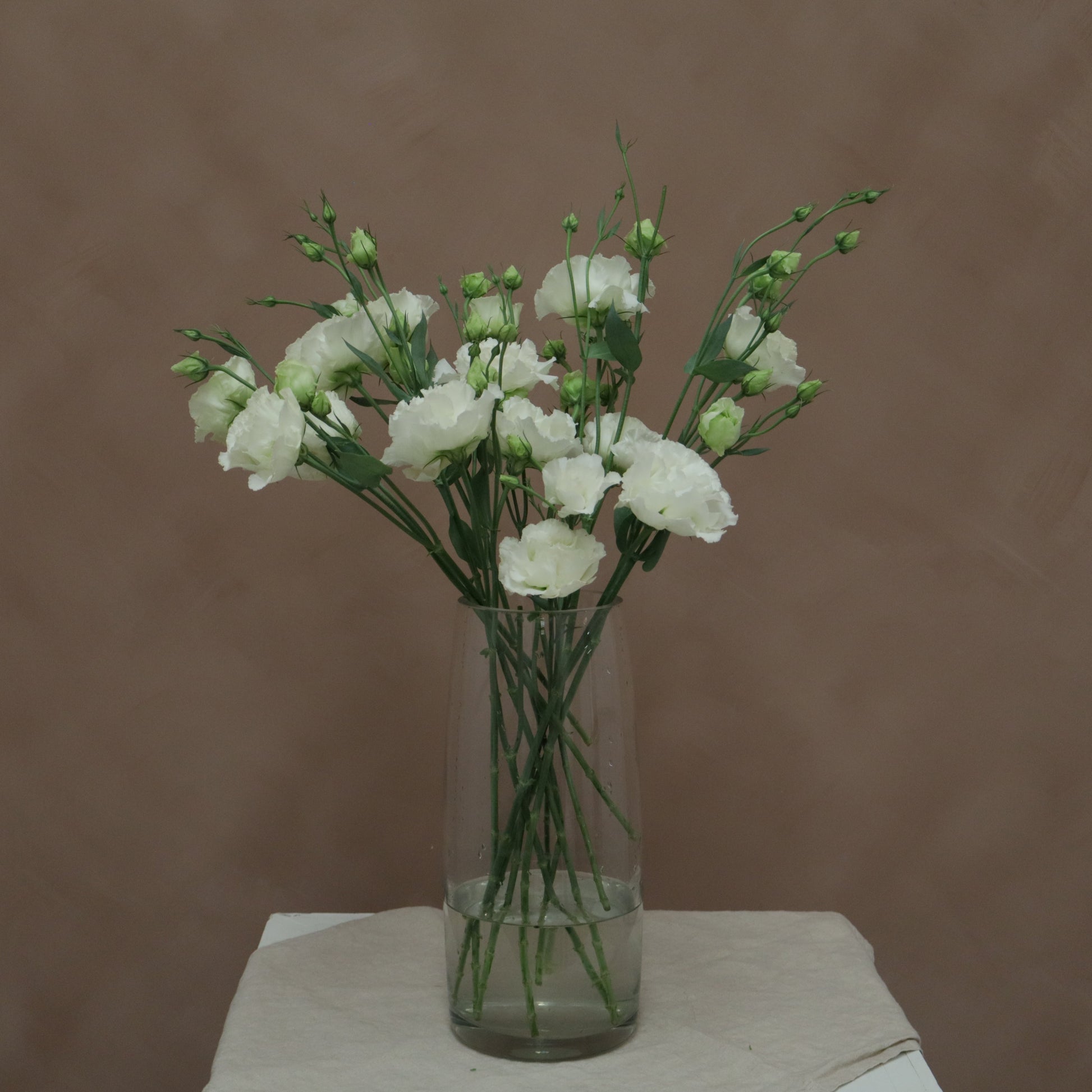 Lisianthus Voyage Blanco