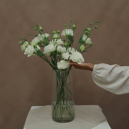 Lisianthus Voyage Blanco