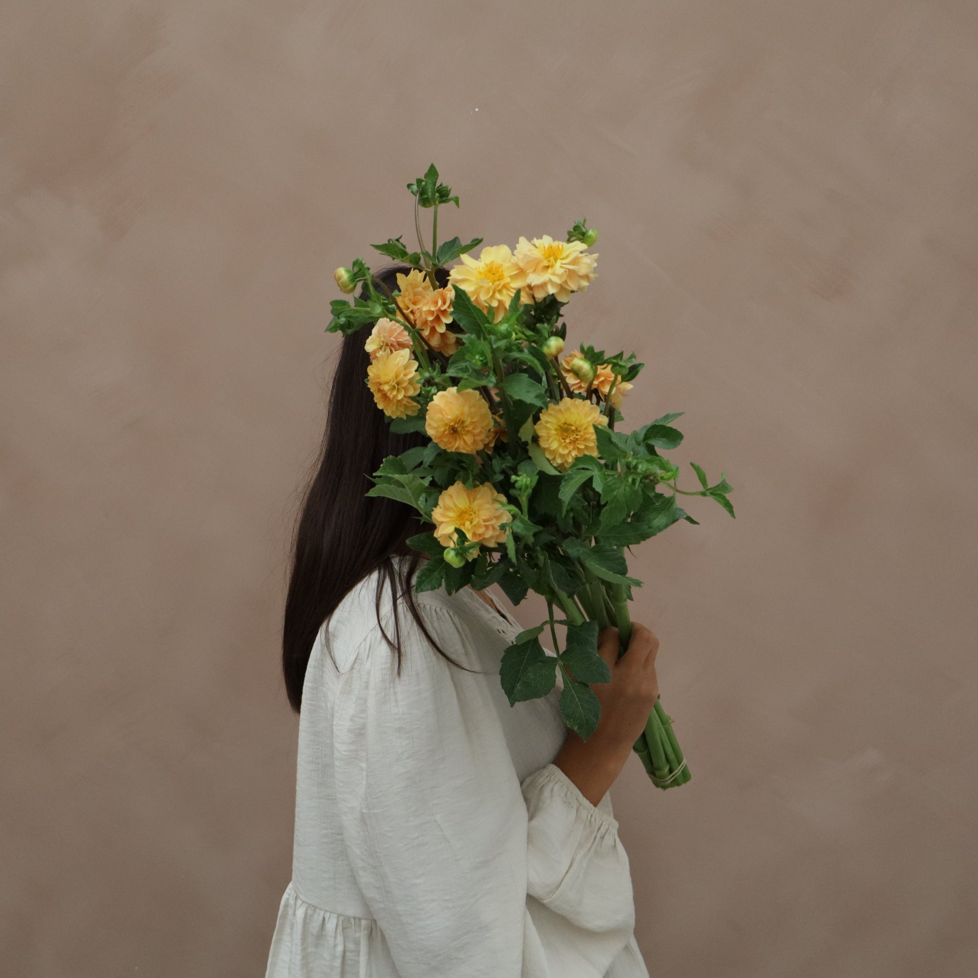 Dalia Golden Scepter