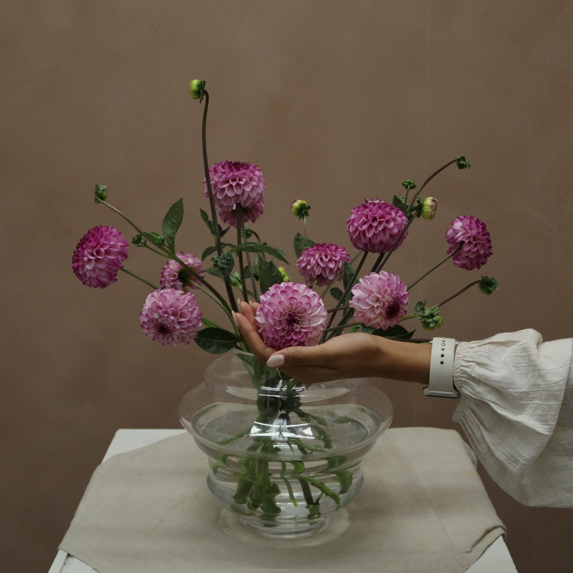 Dalia Genova