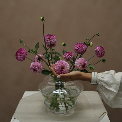 Dalia Genova