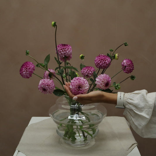 Dalia Genova