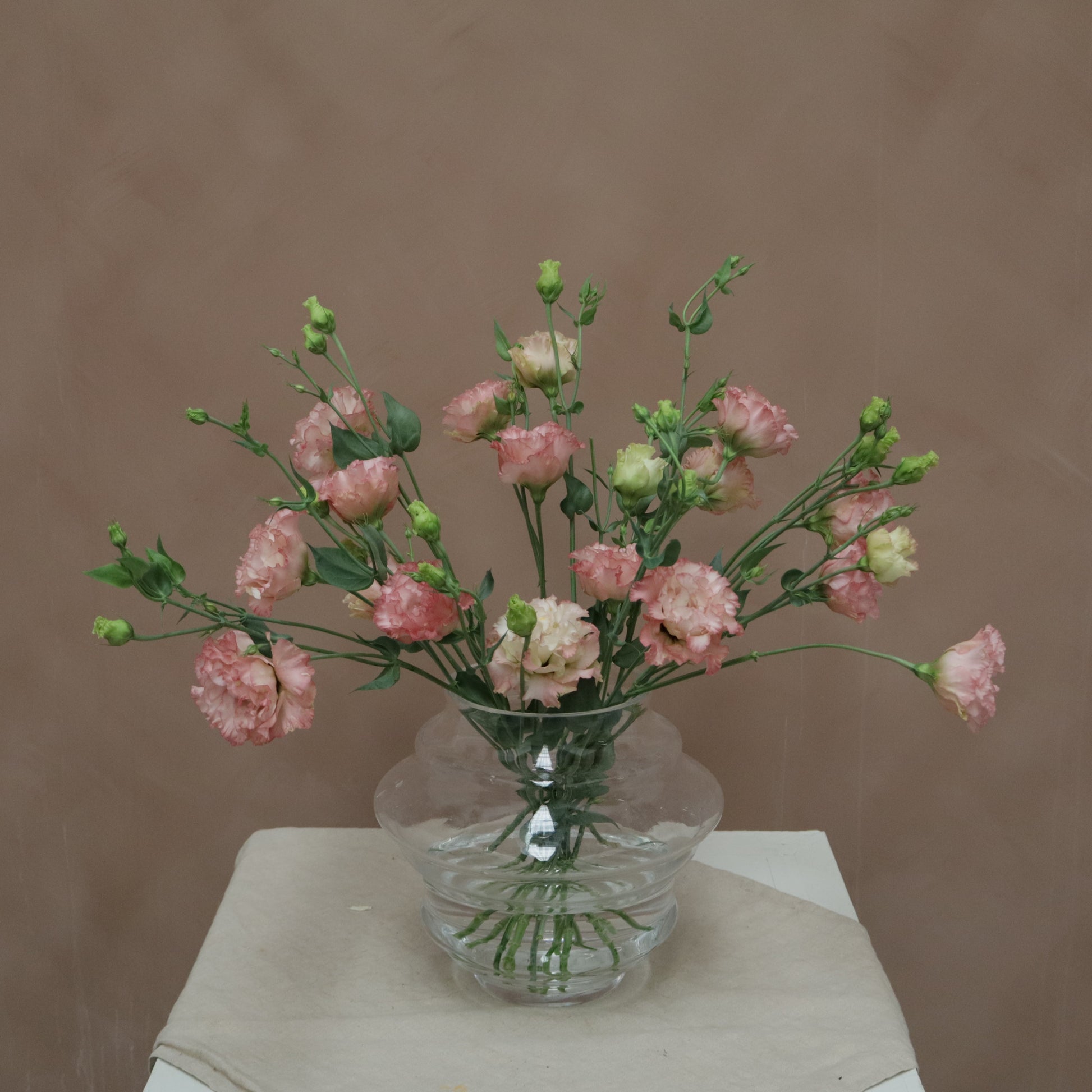Lisianthus Celeb Maddona